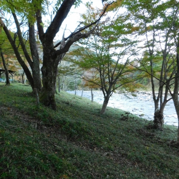 DSCN1859.JPG