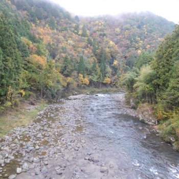 DSCN1866.JPG