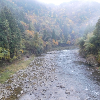 DSCN1874.JPG