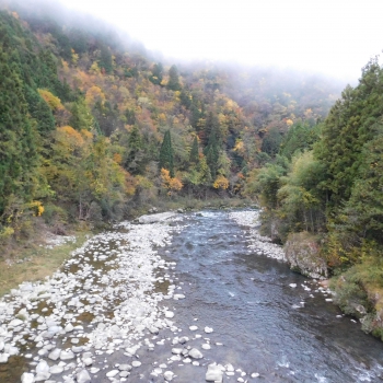 DSCN1878.JPG