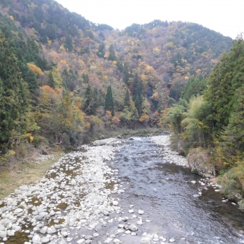 DSCN1890.JPG