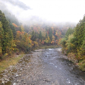 DSCN1894.JPG