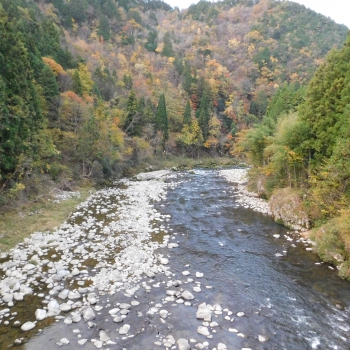 DSCN1898.JPG