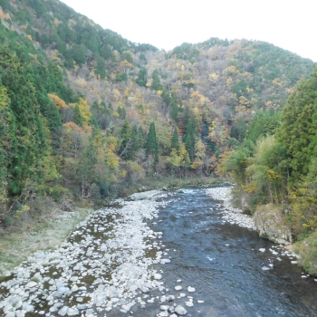 DSCN1902.JPG