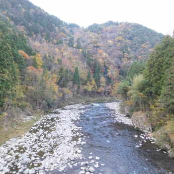 DSCN1906.JPG