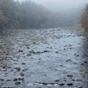 DSCN1912.JPG