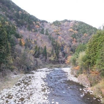 DSCN1930.JPG