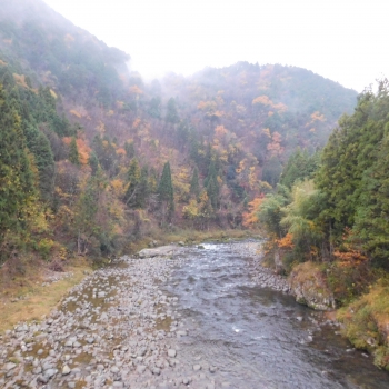DSCN1934.JPG