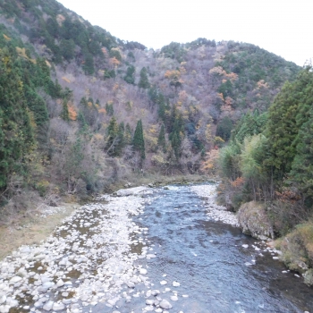 DSCN1938.JPG