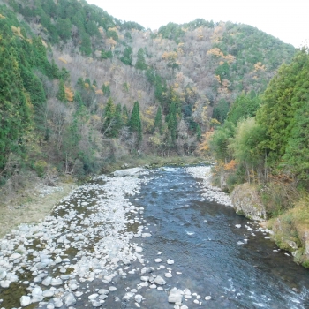 DSCN1942.JPG