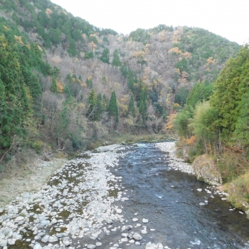 DSCN1946.JPG