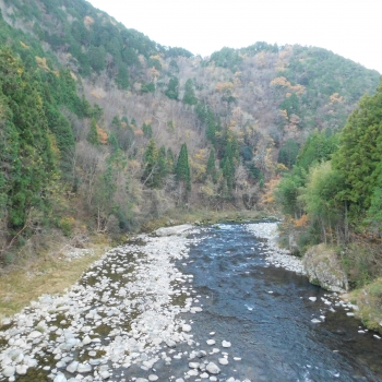 DSCN1955.JPG