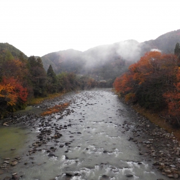 DSCN1981.JPG