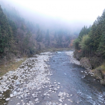 DSCN2017.JPG