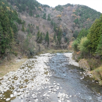 DSCN2021.JPG