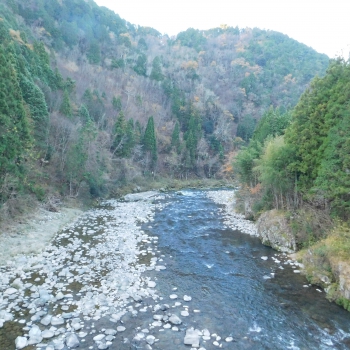 DSCN2025.JPG