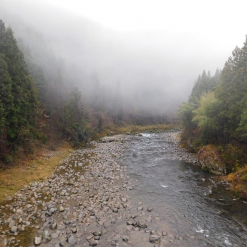 DSCN2071.JPG