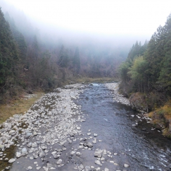 DSCN2083.JPG