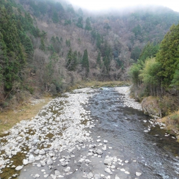 DSCN2091.JPG