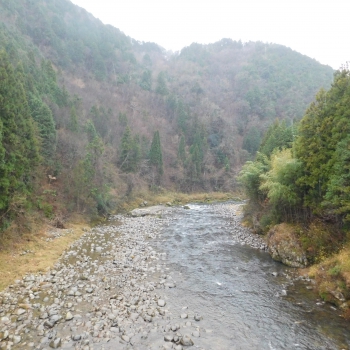 DSCN2124.JPG
