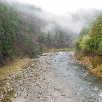 DSCN2130.JPG