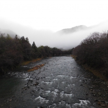DSCN2170.JPG