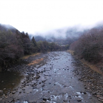 DSCN2293.JPG