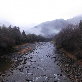 DSCN2297.JPG