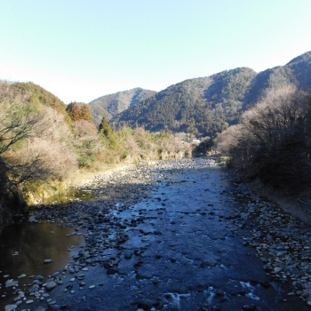 DSCN2313.JPG