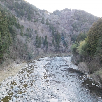 DSCN2339.JPG