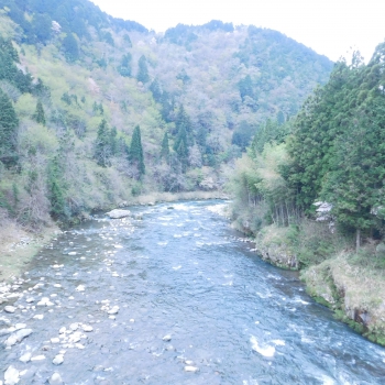 DSCN2361.JPG