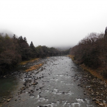 DSCN2375.JPG