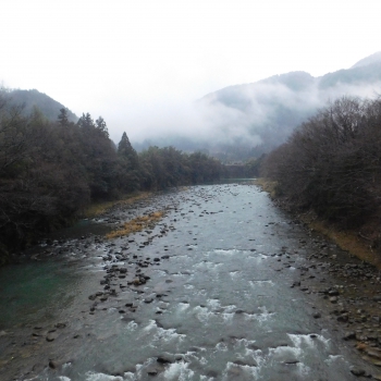 DSCN2534.JPG