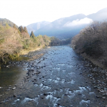 DSCN2539.JPG