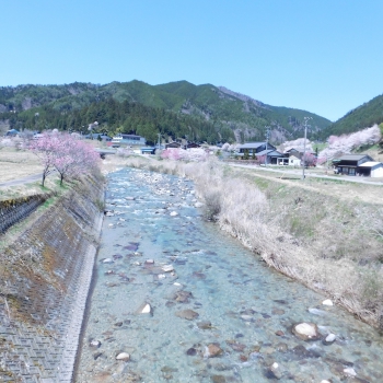 DSCN2549.JPG