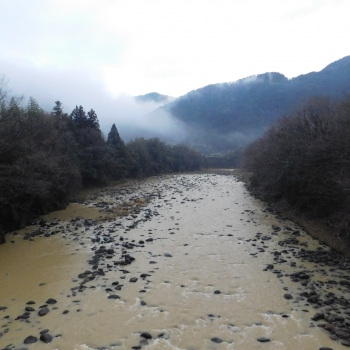 DSCN2550.JPG