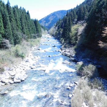 DSCN2558.JPG