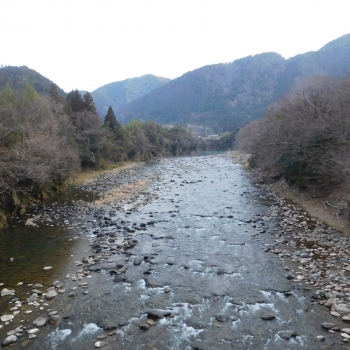 DSCN2595.JPG