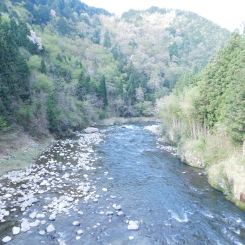 DSCN2596.JPG