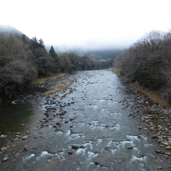 DSCN2603.JPG