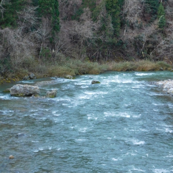 DSCN2616.JPG