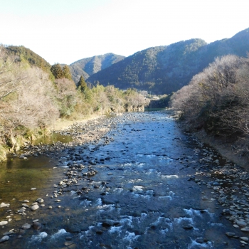 DSCN2642.JPG