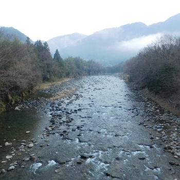 DSCN2650.JPG