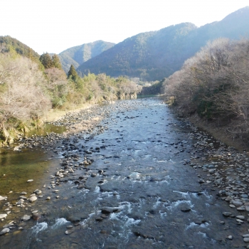 DSCN2660.JPG