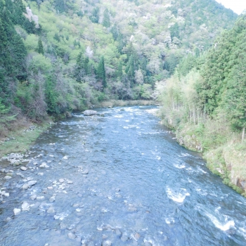 DSCN2663.JPG