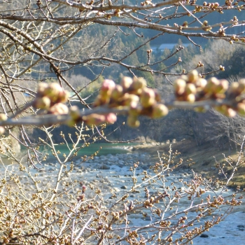 DSCN2686.JPG