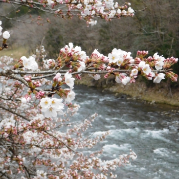 DSCN2750.JPG