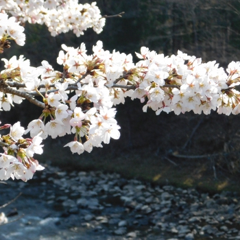DSCN2779.JPG