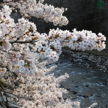 DSCN2785.JPG