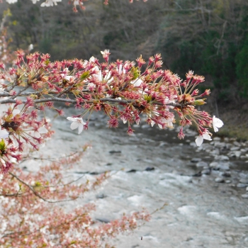 DSCN2921.JPG